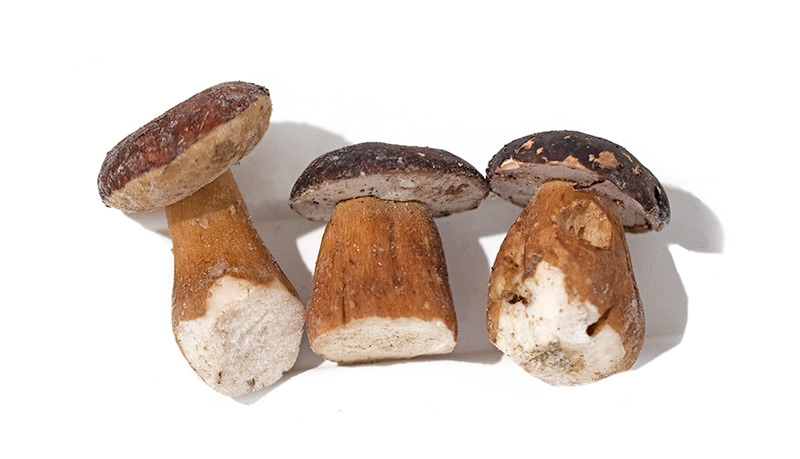 Porcini congelati interi seconda scelta