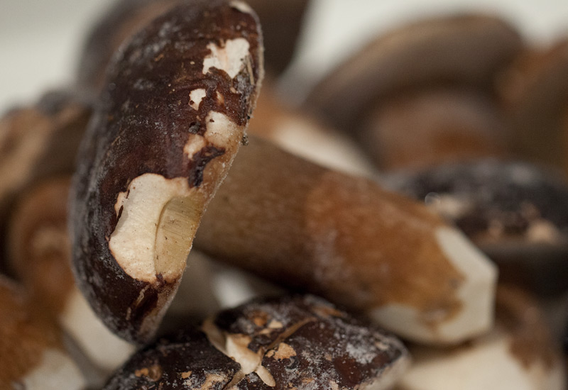 Funghi porcini congelati interi